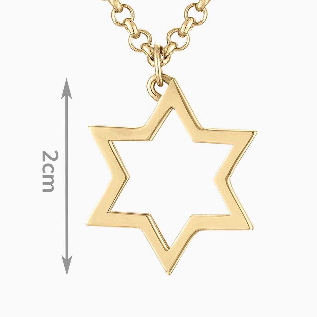 BIG Star of David Necklace in 14k Gold - Mazi New York - jewelry